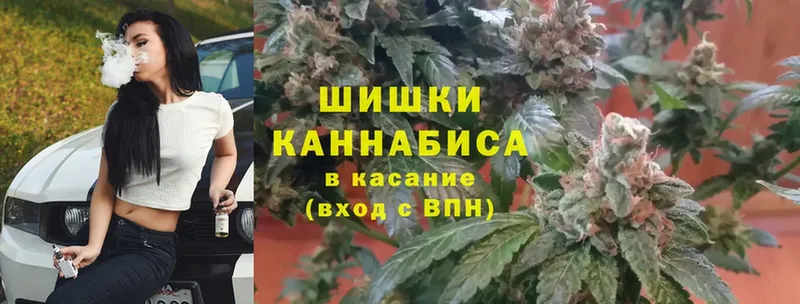 Канабис OG Kush  Гусев 